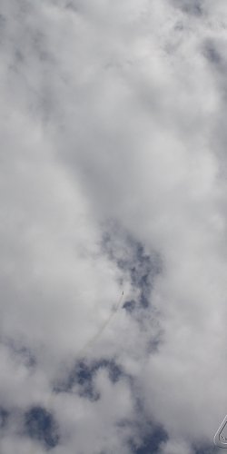 2013 Svojek Mirek Topinka